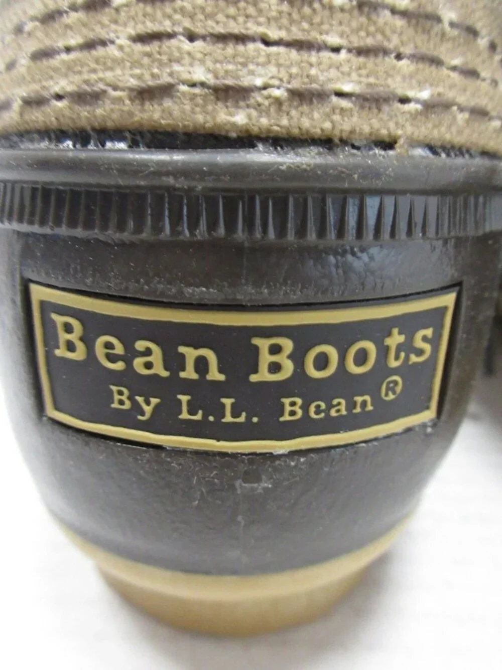 L.L. Bean brand bean